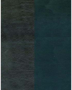 VINYTOL PU 521 NAF